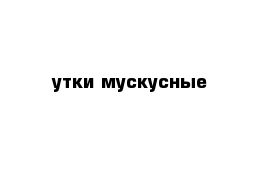 утки мускусные